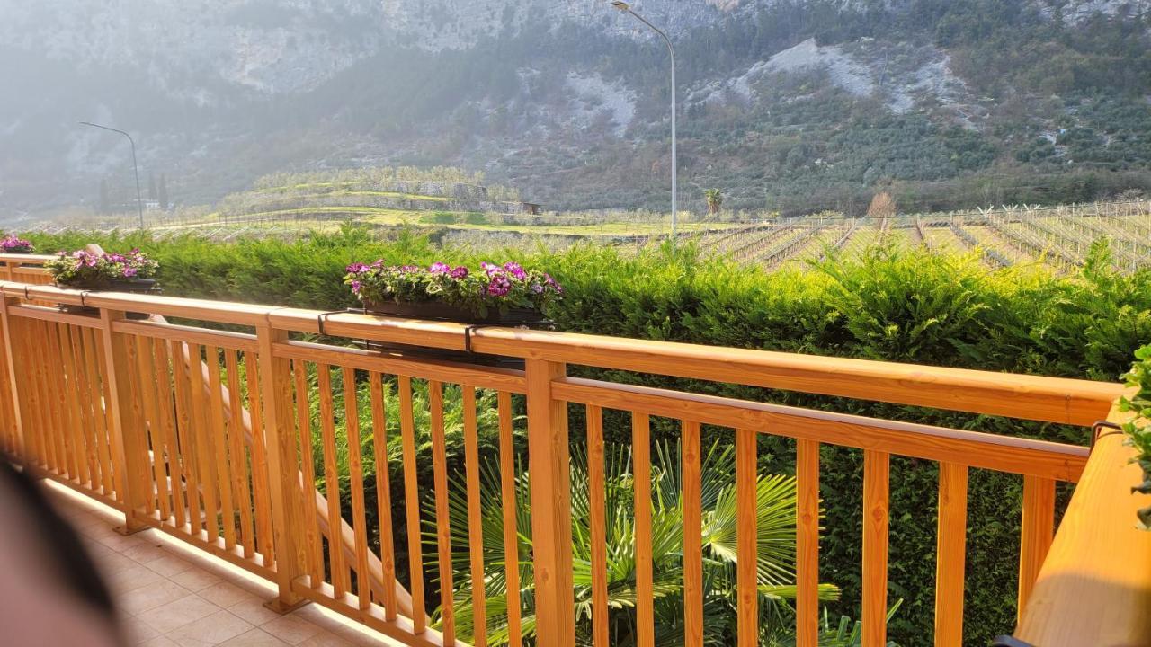 Agriturismo Vin E Amor 드로네로 외부 사진
