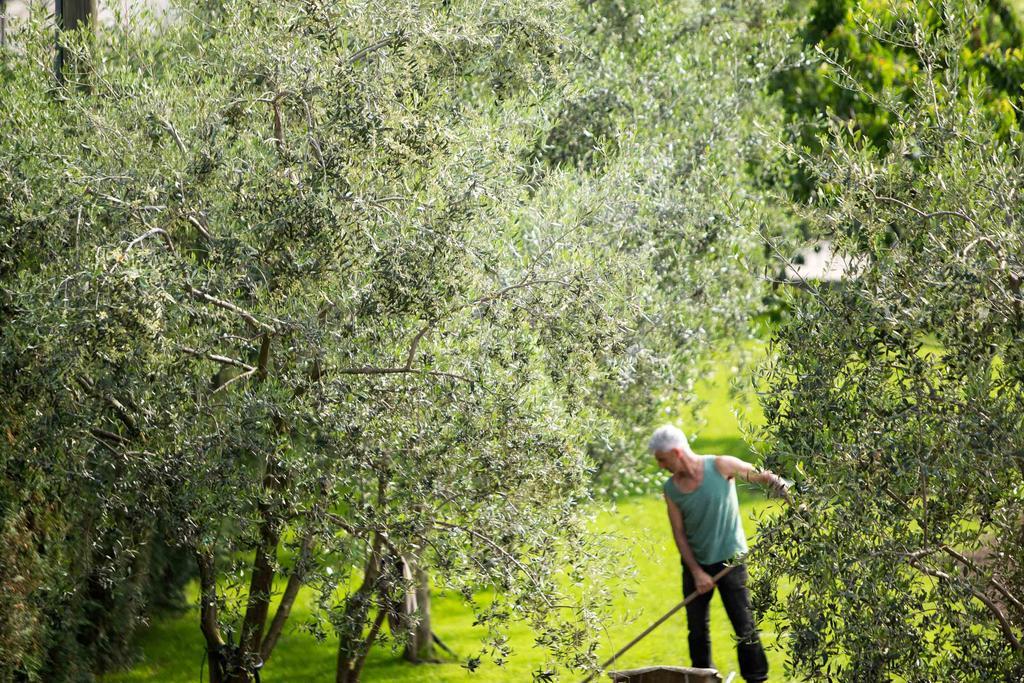 Agriturismo Vin E Amor 드로네로 외부 사진